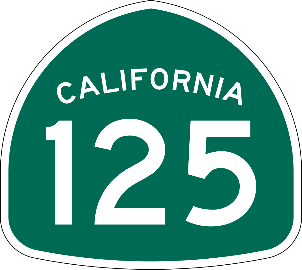 CA-125 shield