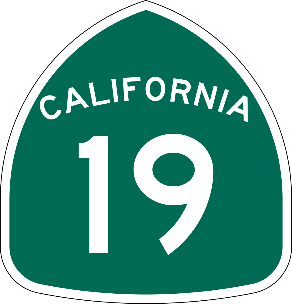 SR-19 shield