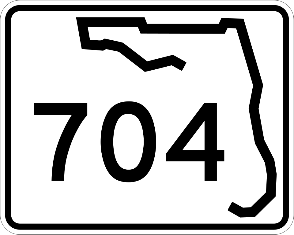 FL-704 shield