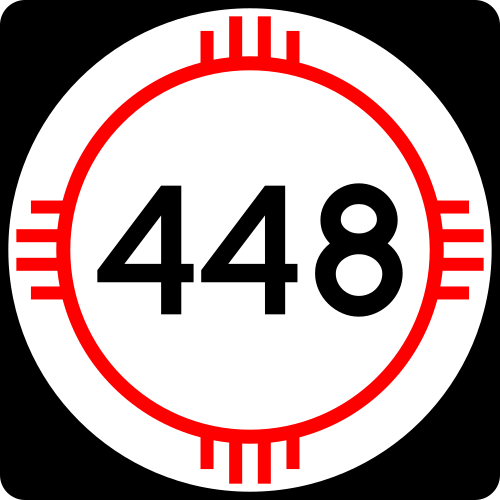 NM-448 shield