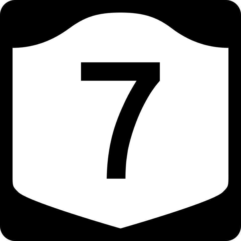 NY-7 shield
