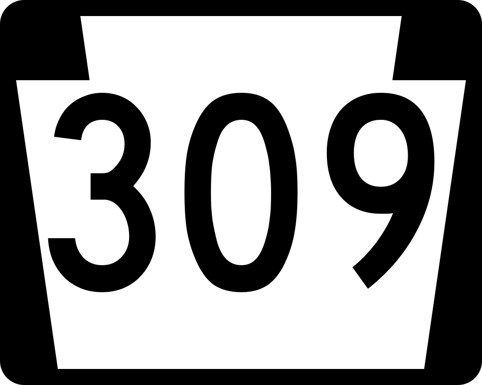 PA-309 shield