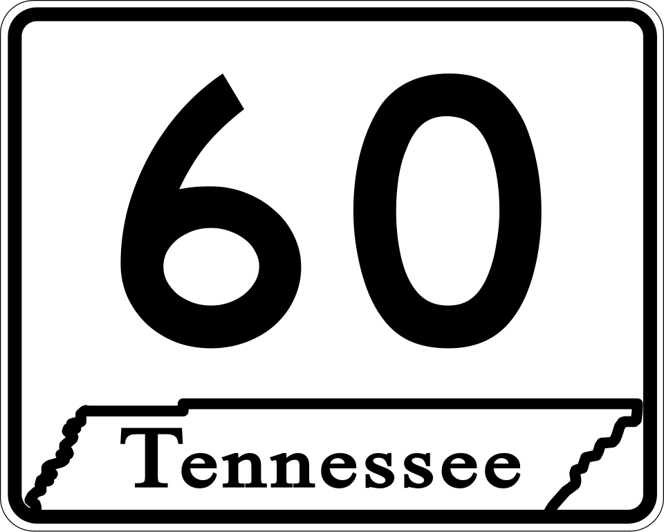TN-60 shield