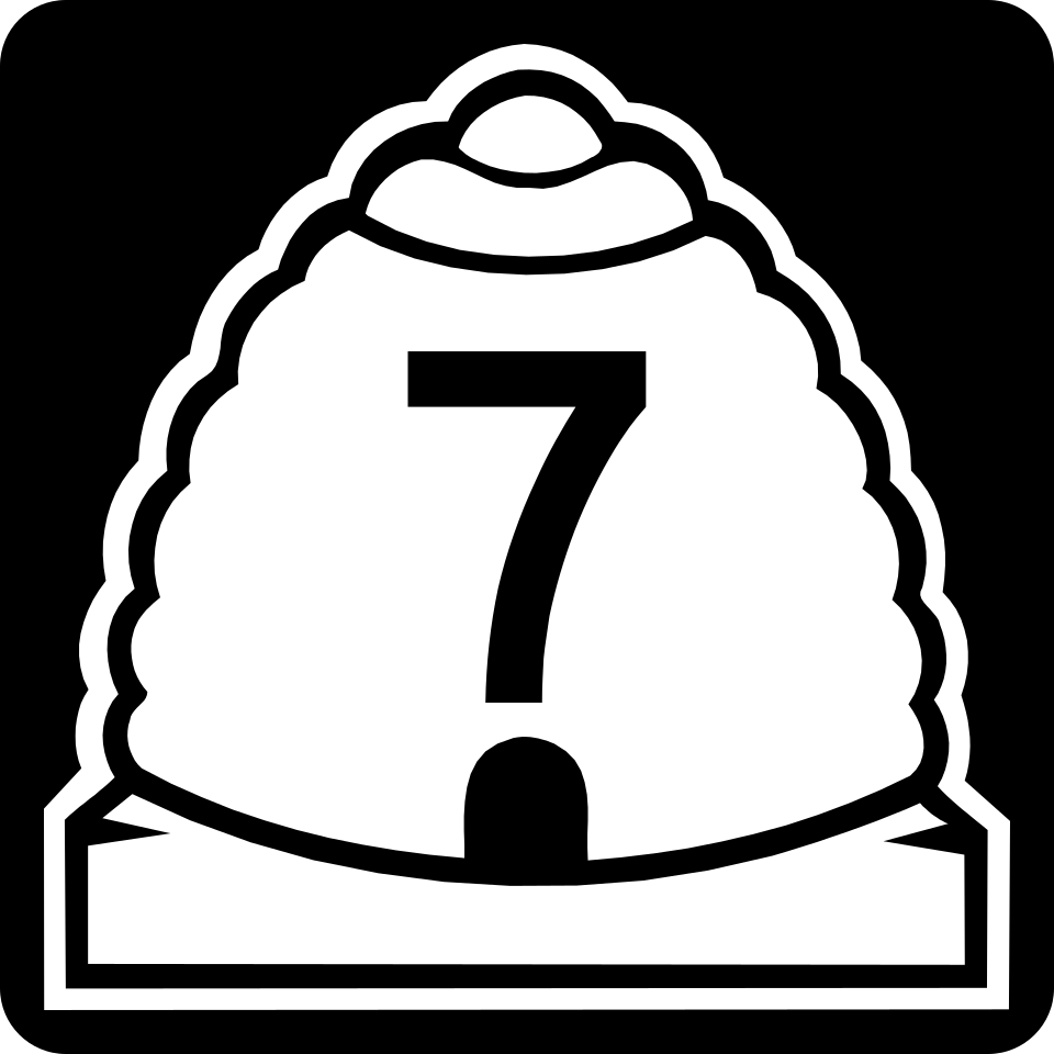 UT-7 shield