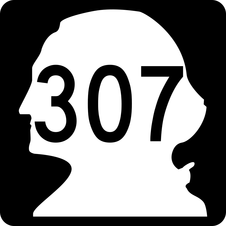 WA-307 shield